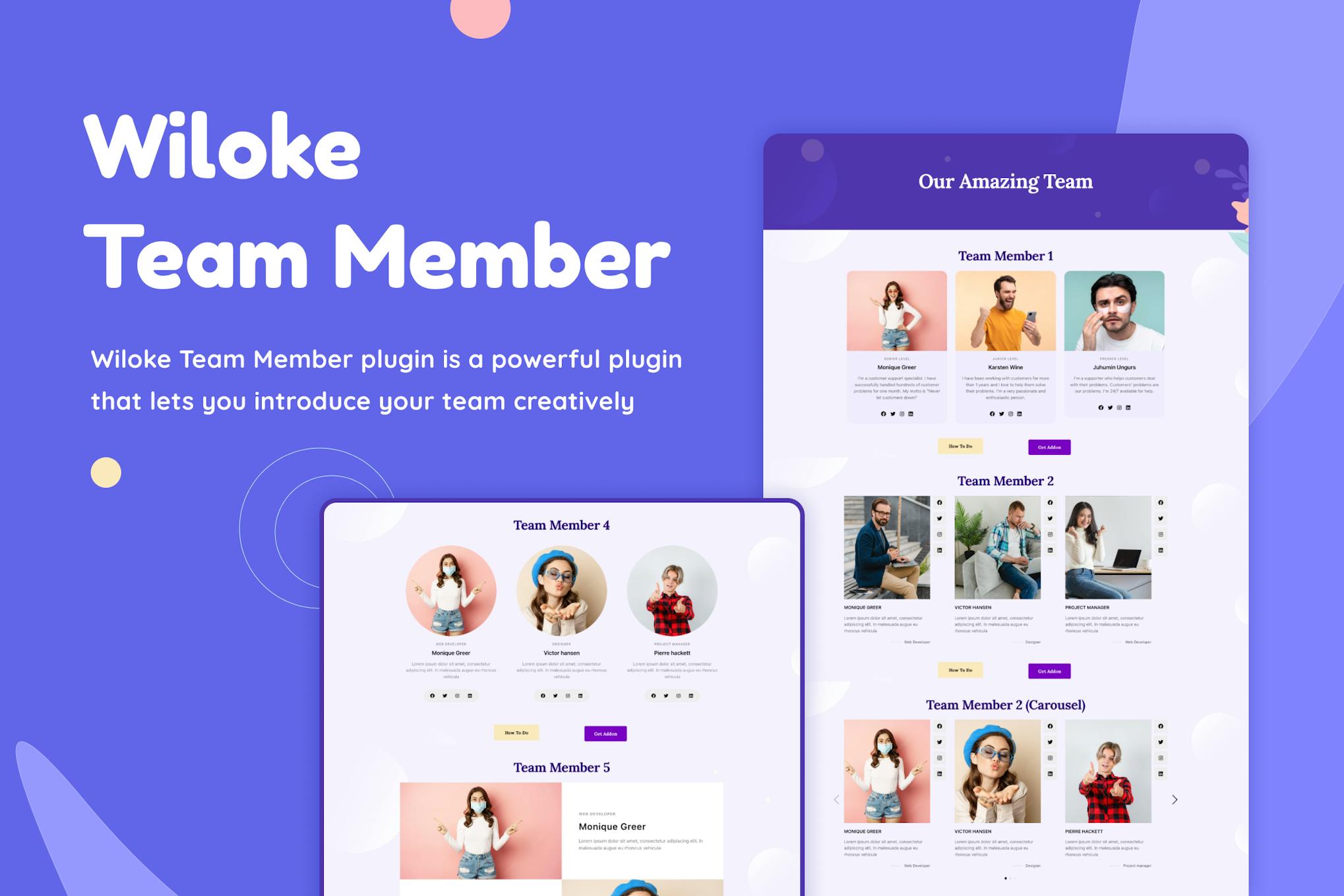 Elementor Team Member v5.8插图 Elementor Team Member v5.8插图
