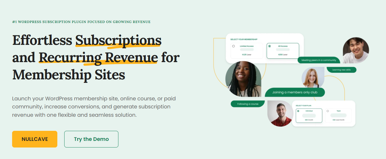 Paid Member Subscriptions Pro v1.9.0插图 Paid Member Subscriptions Pro v1.9.0插图